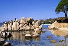 利物浦战平皇马，欧冠四强未定