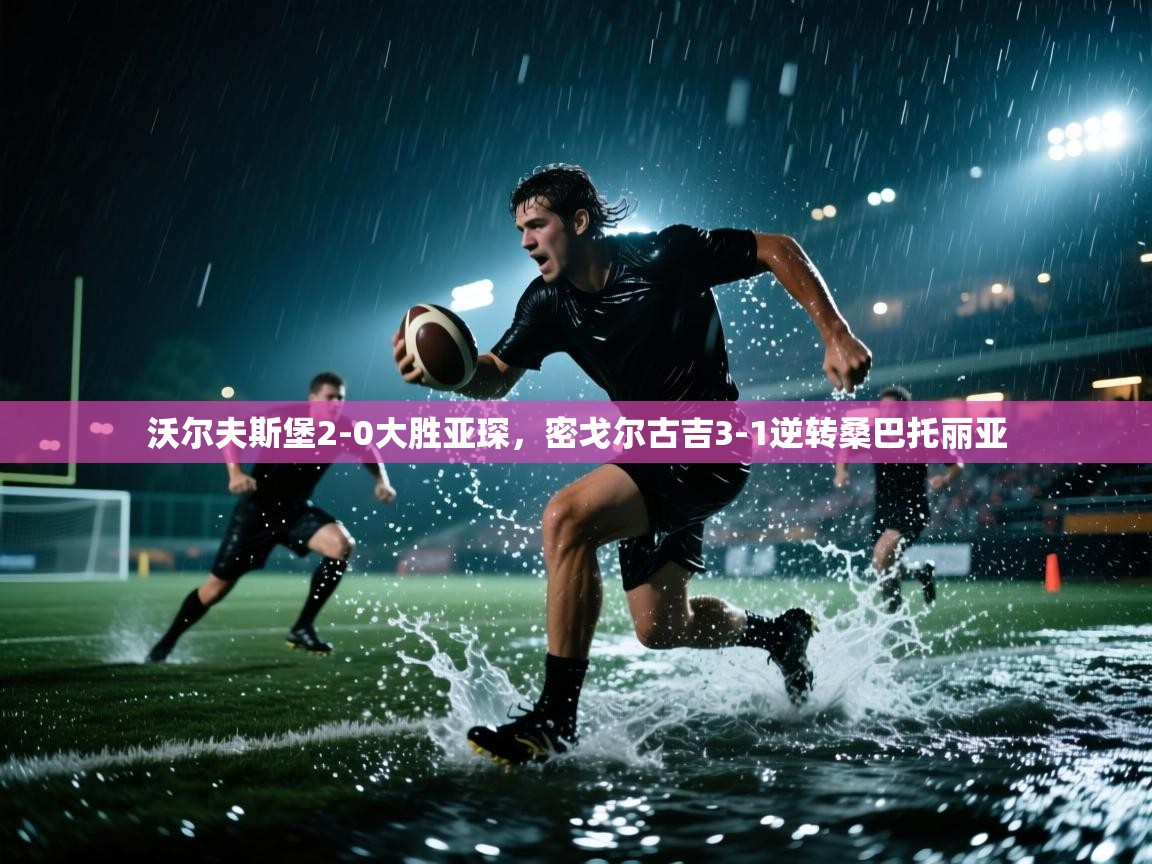 沃尔夫斯堡2-0大胜亚琛，密戈尔古吉3-1逆转桑巴托丽亚