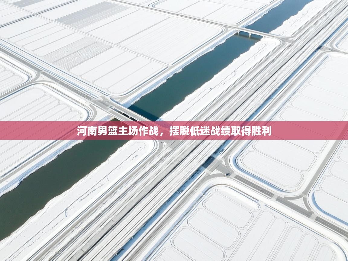 河南男篮主场作战，摆脱低迷战绩取得胜利