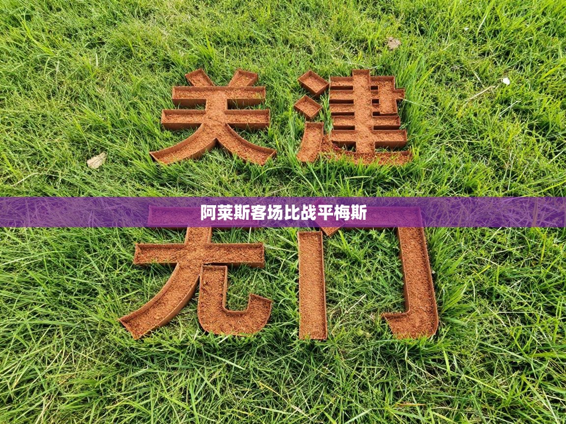 阿莱斯客场比战平梅斯