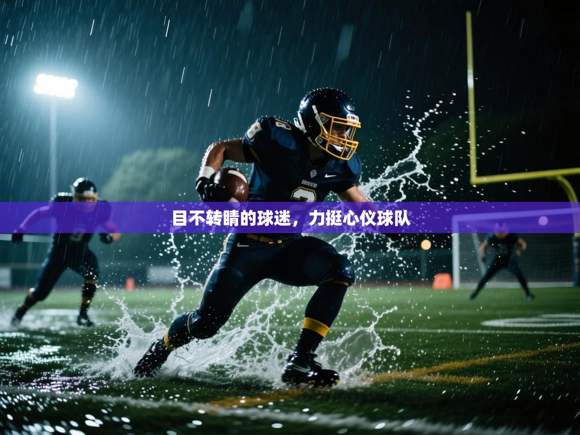 目不转睛的球迷，力挺心仪球队