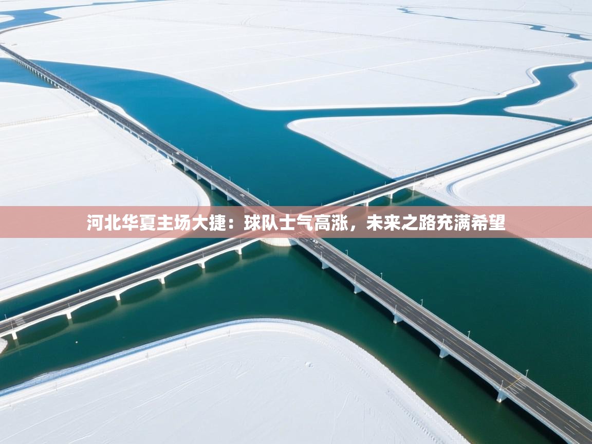 河北华夏主场大捷：球队士气高涨，未来之路充满希望